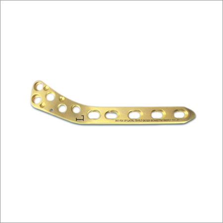 Titanium Plate
