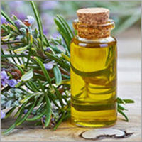 Rosemary Oil - Feature: Fragrance Compound