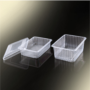 Disposable Plastic Box Disposable Plastic Box