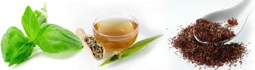 Ayurvedic Propaganda Company