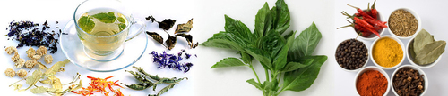 Ayurvedic Propaganda