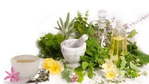 Ayurvedic And Herbal Pcd Pharma Franchise