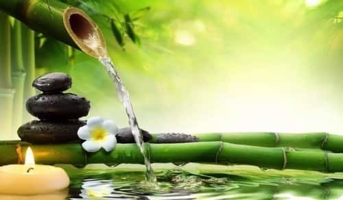 Ayurvedic Products Franchise Company