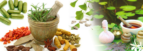 Ayurvedic PCD Ayurvedic PCD