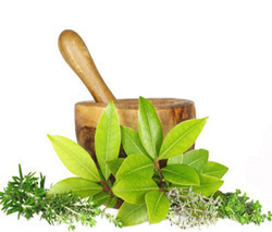Ayurvedic Franchise
