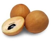 Sapodilla  Extract (chikko)