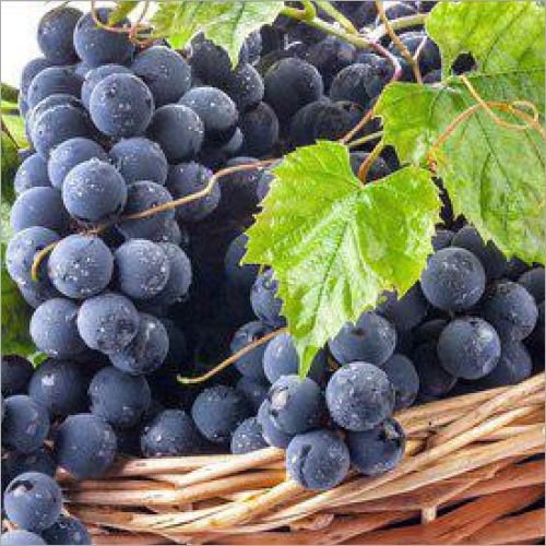 Fresh Black Grapes - Basket Packed, Dark Purple | Fresh, Rich Taste, Vitamin C K A, Immunity Support