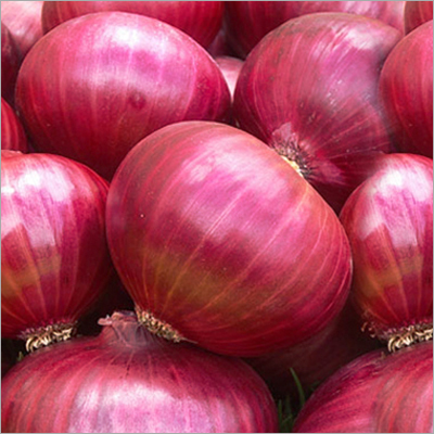 Pure Red Onion - Organic Red, Fresh, Firm Texture | Long Shelf Life, Multiple Layers, Nutritious, Pungent Taste