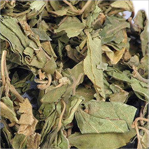 Dry Gymnema Leaves