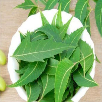 Ayurvedic Neems Leaves