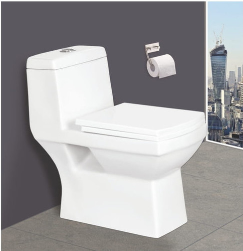 Western Toilet