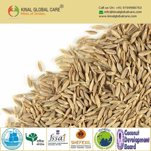 Light Brown Cumin Seeds