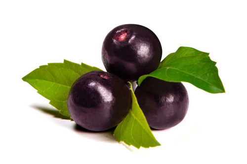 Acai berry extract