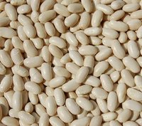 White Kidney Bean Extract - Powder Form | White Color, Water Extracted, Bulk Packaging, Cool Storage, 2-year Shelf Life