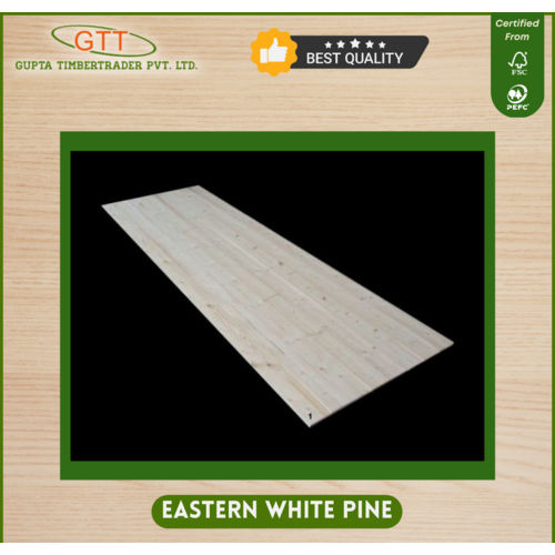 Eastern White Pine