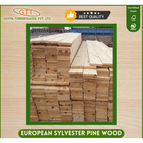European Sylvester Pine Wood