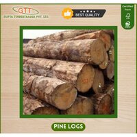 Pine Logs