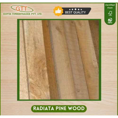 Radiata Pine Wood