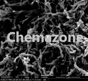 Functionalized Short MWCNT-Multi Walled Carbon Nanotubes