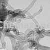 Functionalized Short MWCNT-Multi Walled Carbon Nanotubes