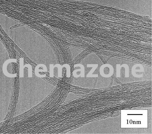 Carbon Nanotube and Fullerene