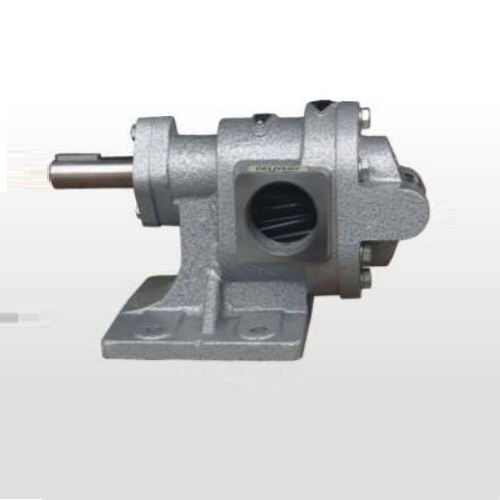 Stainless Steel Anivarya External Gear Pumps