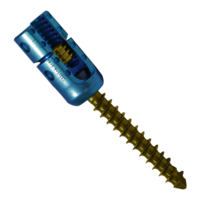 Black Reduction Poly Sacral Screw