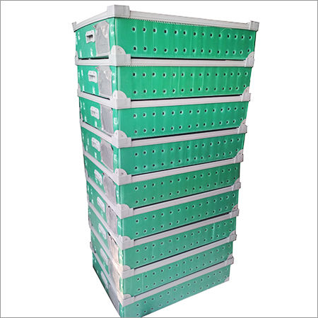 Pp Corrugated Packaging Box