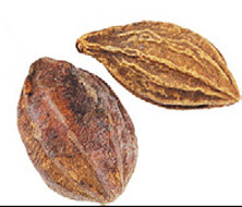 Whole Myrobalan