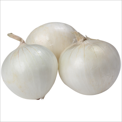 Fresh White Onion Fresh White Onion