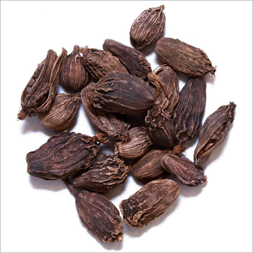 Big Cardamom