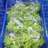 2020 Fresh Crop Sonaka Quality Grapes