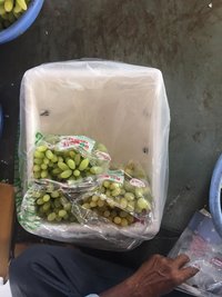 Super Quality Super Sonak Grapes