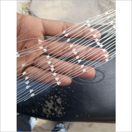 Transparent Anti Bird Net