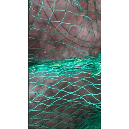 Green Anti Bird Net
