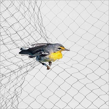 Anti Bird Net