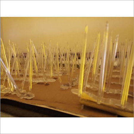 Polycarbonate Bird Spikes