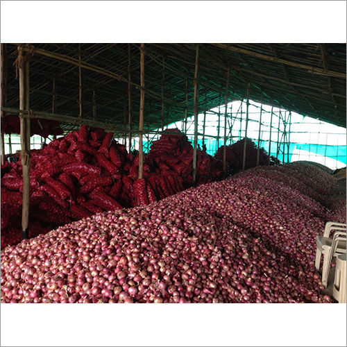 Fresh Red Organic Onion