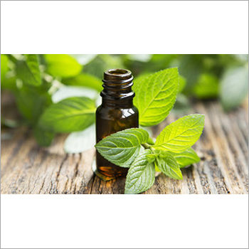 Mentha Spearmint Oil Cas No: 8008-79-5