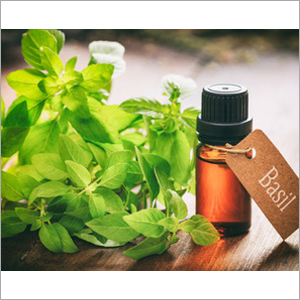 Basil Oil