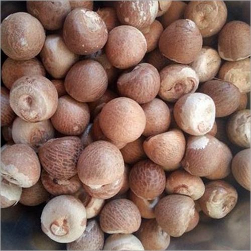 Betel Nuts - Dried Brown | Customized Sizes Hygienically Grown Processed with Modern Machinery Enriched for Ayurveda