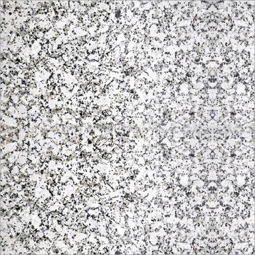 Platinum White Granite Slabs