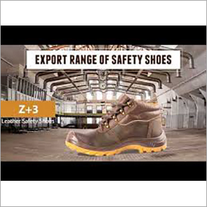 Safety Shoe Gender: Male