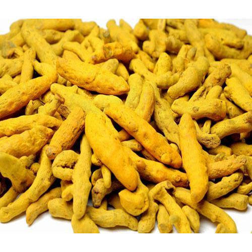 Dried Turmeric Finger