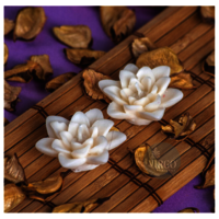 Nilofer-White, Vanilla pack of 5