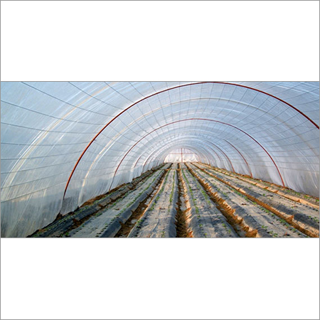 Polytunnel Greenhouse Cover Material: Glass