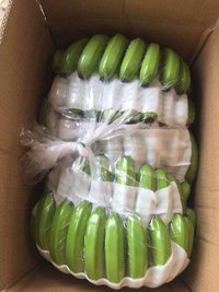 Cavendish Banana Maharashtra Specieal