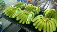 G9 Quality Cavendish Banana