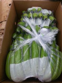 Indian Cavendish Banana