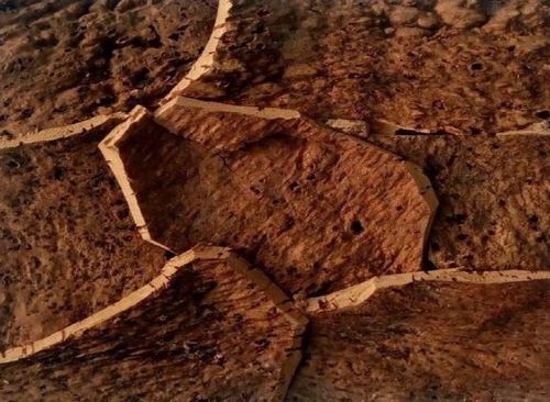 CORK MOSAIC